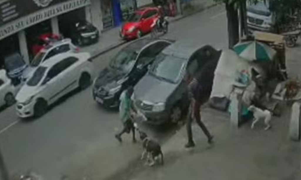 Morador de rua é preso acusado de usar cachorros para atacar pedestres no Rio