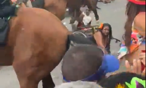 Cavalo se assusta e atropela pessoas no Galo da Madrugada, em Recife