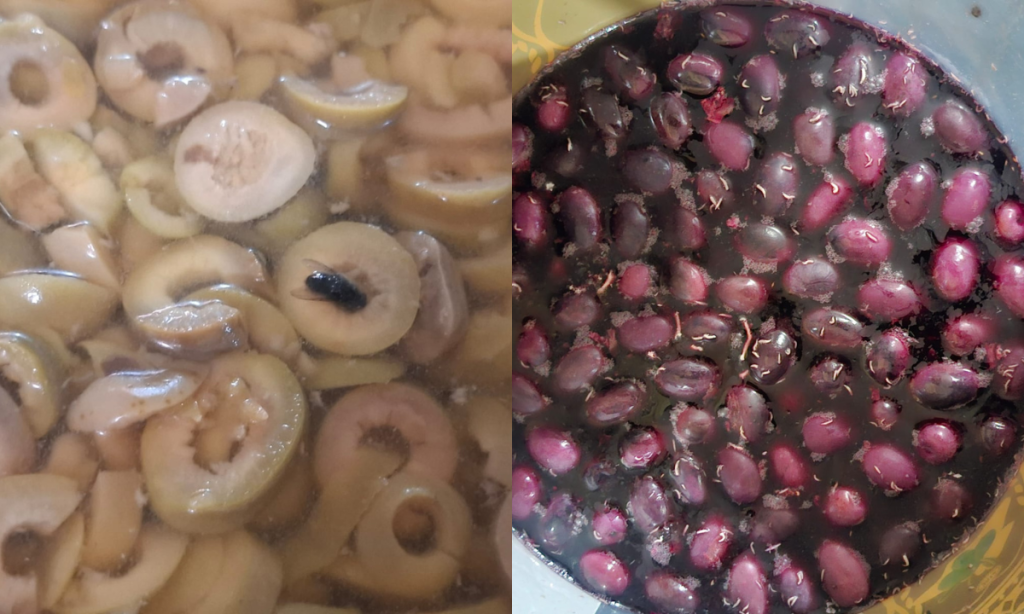 Larvas e moscas expõem falhas sanitárias em mercado do Rio