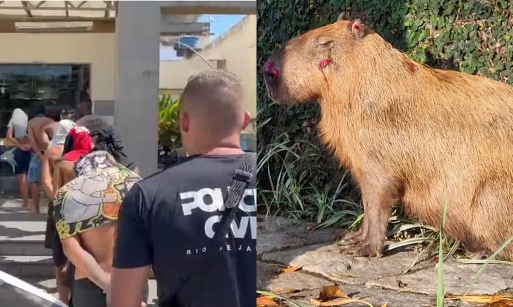 Polícia prende seis e apreende dois por espancar capivara no Rio