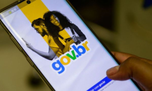 Aprenda a usar serviços do governo para proteger seus dados