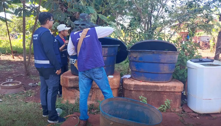 Mosquito transmissor da chikungunya em região com aumento de casos no Brasil