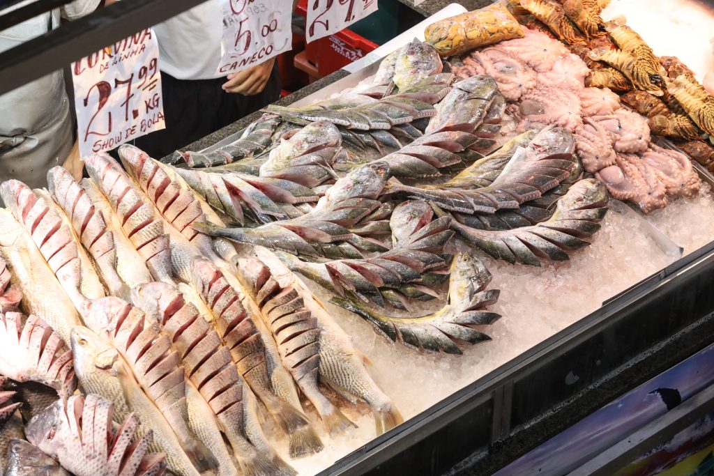 Peixes frescos em gelo sendo vendidos durante a Semana Santa em Niterói
