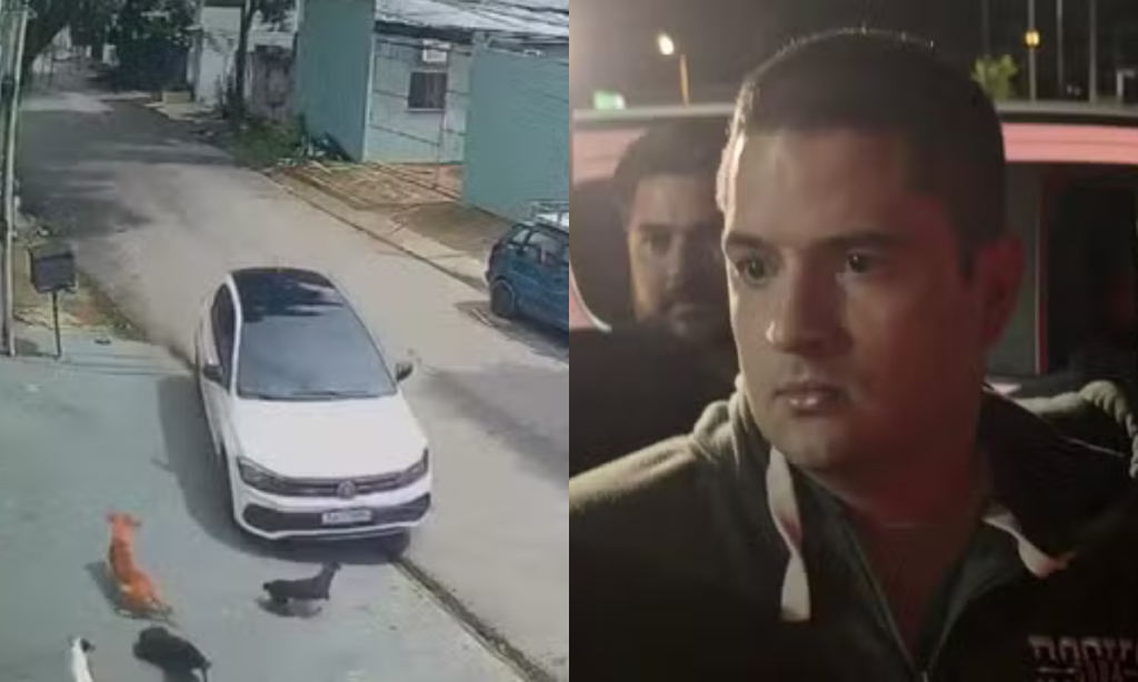 Homem é preso acusado de atropelar cachorros em Manaus