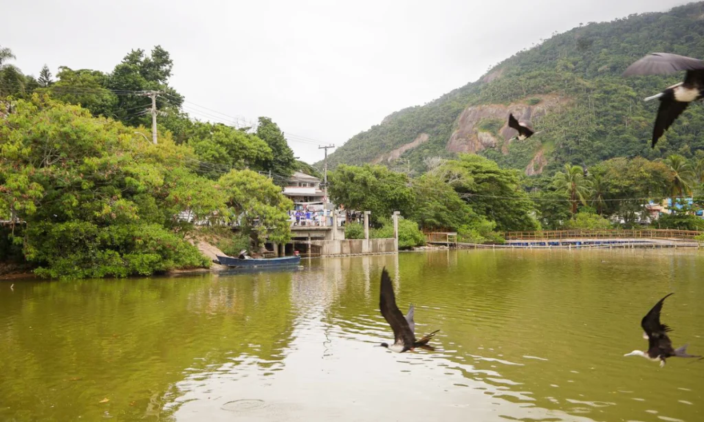 lagoa de piratininga