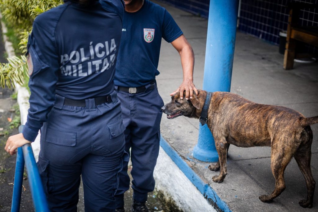 Cão polícia: Estopa, Choquito e Rajada, os mascotes que conquistaram a PM de Niterói e São Gonçalo 28 WhatsApp Image 2026 05 28 at 08.44.57 1