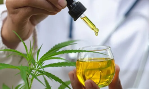 Mulheres acima dos 45 anos impulsionam mercado de cannabis medicinal no Brasil