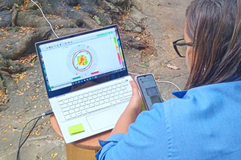 monitoramento arvore niteroi