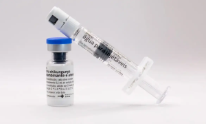 Vacina contra chikungunya começa a ser produzida no país