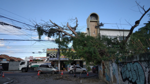 Moradores do Barreto, em Niterói, ficam sem luz após queda de árvore