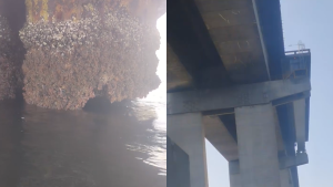 Perigo na Ponte? Entenda o vídeo que circula alertando para dano em pilar estrutural