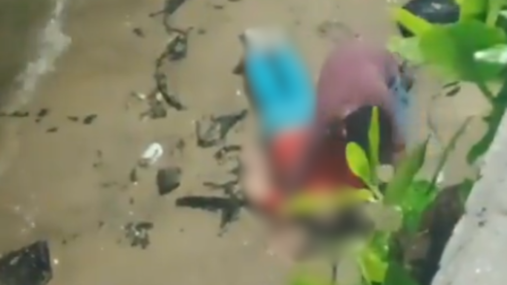 Homem é preso acusado de tentar matar idoso arremessado de mureta no Rio