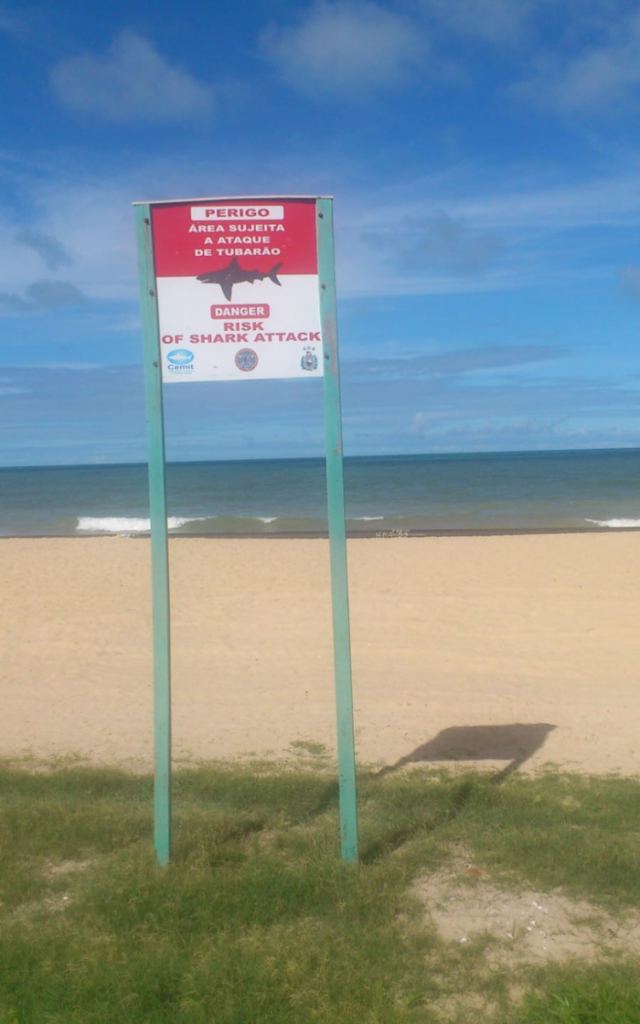 Jovem de 19 anos tem perna amputada após ataque de tubarão em praia do Recife 25 placa