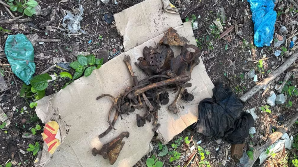 Polícia encontra quatro corpos em 2 cemitérios clandestinos no Rio