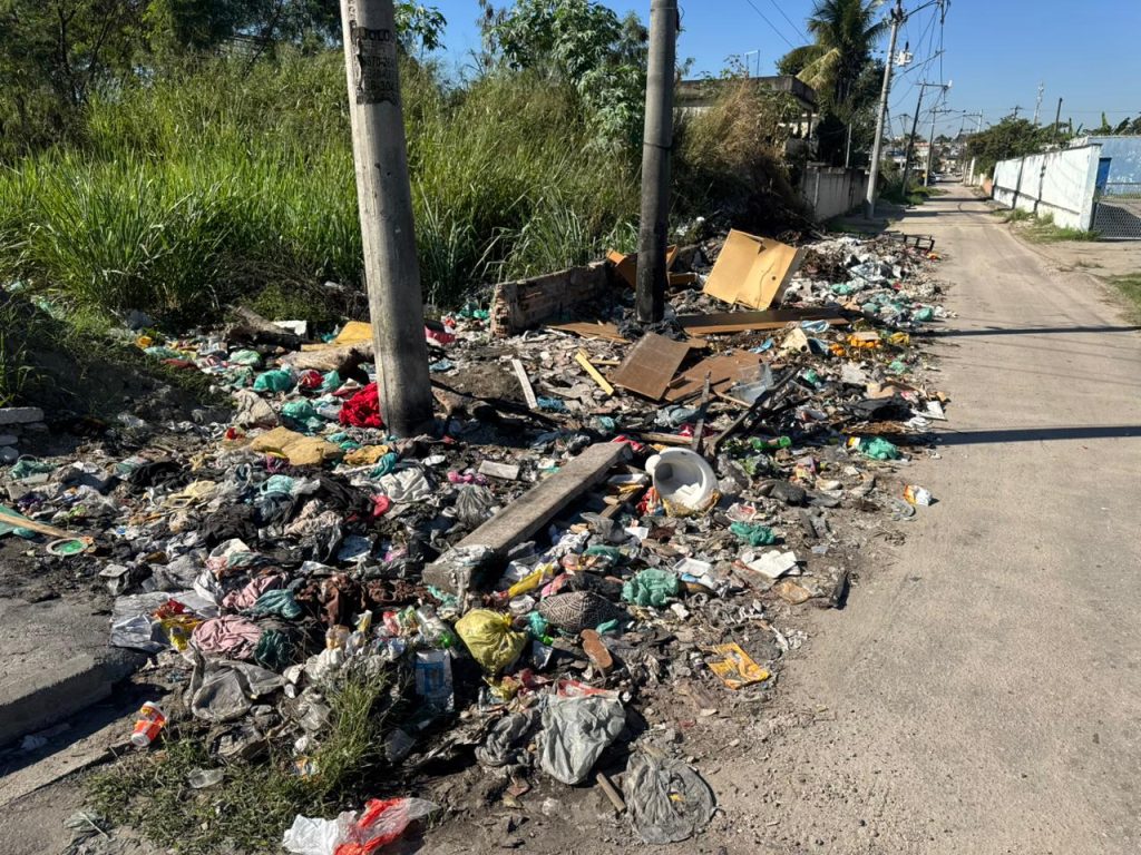 Rodovia do lixão: acúmulo de resíduos e animais soltos às margens da BR-101 acende alerta para riscos na pista 27 WhatsApp Image 2026 07 16 at 12.02.43