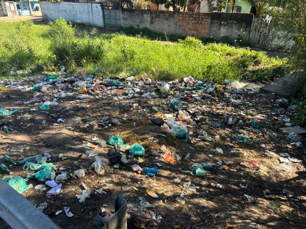 Rodovia do lixão: acúmulo de resíduos e animais soltos às margens da BR-101 acende alerta para riscos na pista 29 WhatsApp Image 2026 07 16 at 12.02.44 1