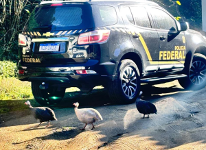 peração Malebolge cumpre oito mandados de busca e apreensão em Jacarepaguá, Cidade de Deus e Nova Iguaçu nesta segunda-feira (17).