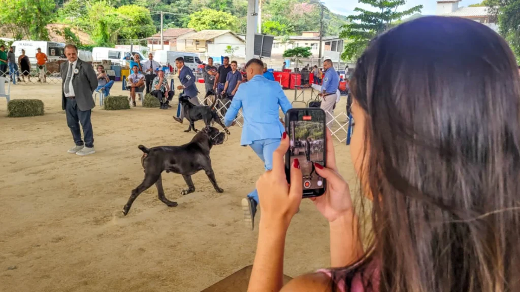 Exposição de cães de raça e diversão neste final de semana em Niterói 25 exposicao de caes niteroi enfoco