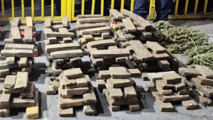 Pressos de Minas com 200kg de maconha em São Gonçalo
