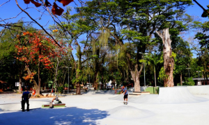 Niterói reabre parques e hortos após alerta de ventania