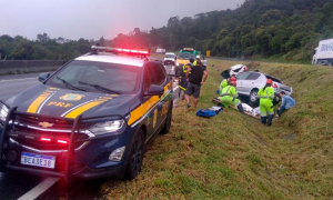 Número de atropelamentos aumenta nas rodovias federais do país