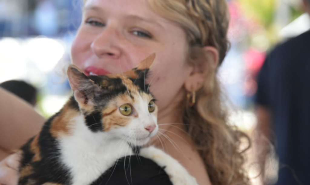 Maricá lança plataforma para cadastro e castração de pets