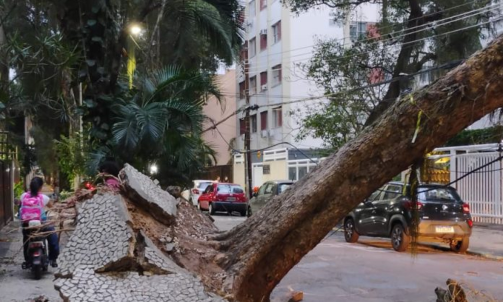 Rio entra em alerta para ventos com rajadas de até 76 km/h