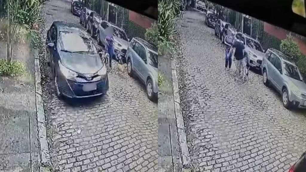 Motorista é preso após agredir mulher e chutar cachorros no Rio