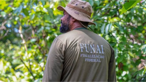 Funai abre processo seletivo com mais de 800 vagas