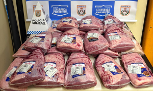 Churrasco cancelado: adolescente é apreendida com 22 picanhas furtadas na Baixada