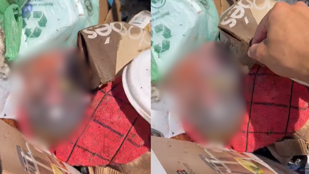 Feto é encontrado em caçamba de lixo na Baixada Fluminense