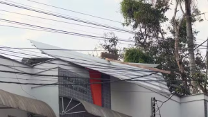 Ventania no Rio de Janeiro derrubou ao menos 5 árvores e teve rajadas de 91 km/h. Defesa Civil emitiu alerta severo durante a madrugada.