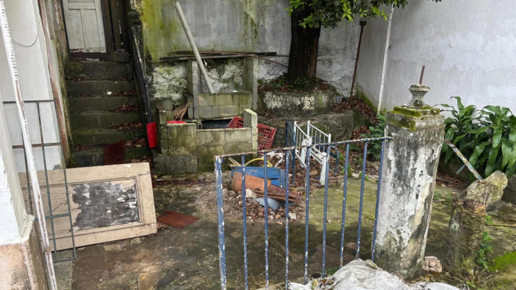 Maus-tratos de animais em Niterói