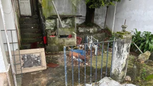 Maus-tratos de animais em Niterói