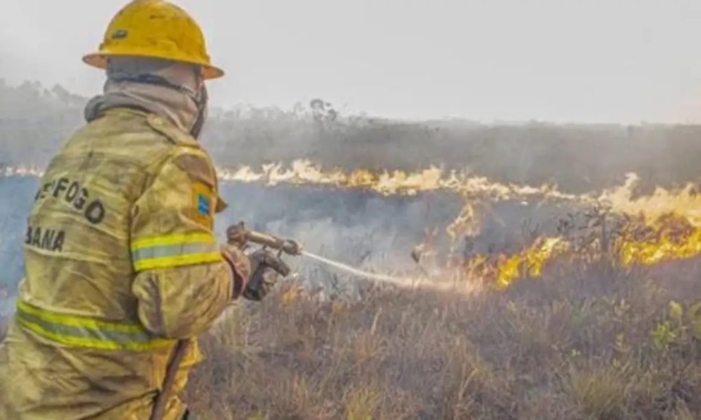 Ministério do Meio Ambiente investiga possível atuação organizada por trás dos focos de fogo. Operação já extinguiu 292 incêndios, mas oito permanecem ativos no estado.