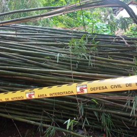 Vegetação cai sobre imóvel interditado e preocupa família em Niterói