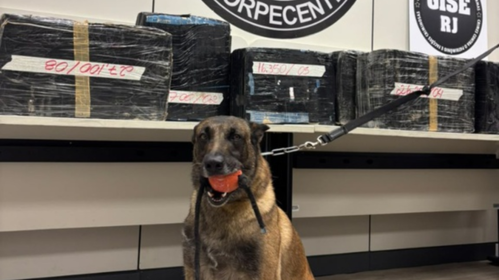 Motorista é preso com quase 390 kg de drogas em caminhão no Rio