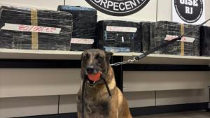Motorista é preso com quase 390 kg de drogas em caminhão no Rio