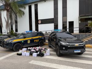 Motorista fugiu durante abordagem e foi preso em Araruama; carga incluía cocaína, crack, maconha e 760 frascos de lança-perfume.