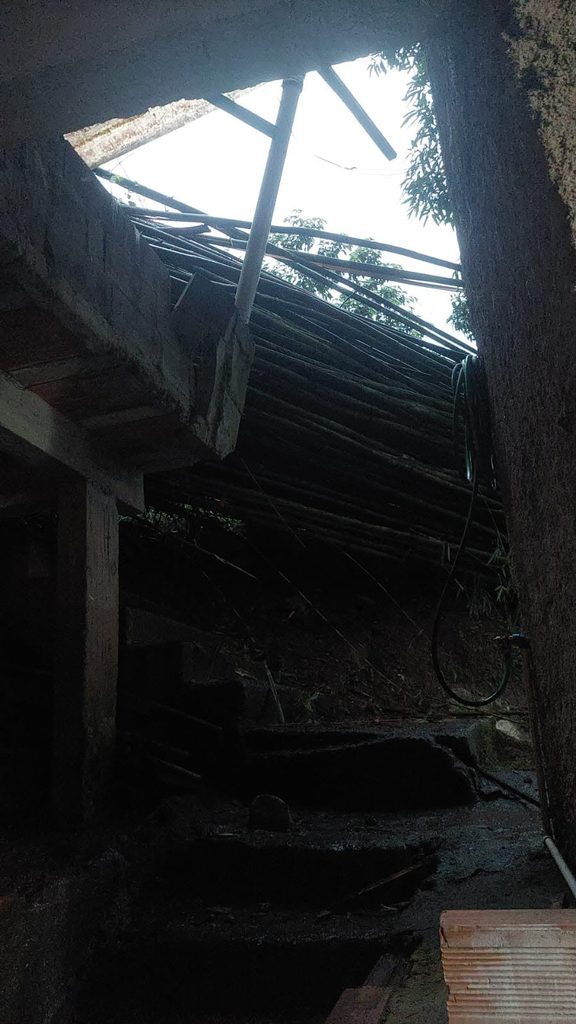 Vegetação cai sobre casa em Niterói