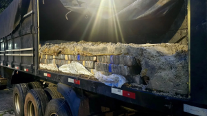 PRF apreende 2 toneladas de maconha escondidas em caminhão na Dutra