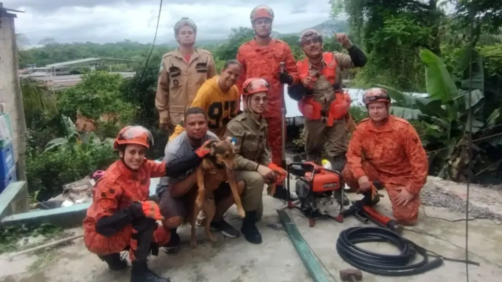 Cachorro é resgatado cinco dias após desabamento que deixou dois feridos em Niterói