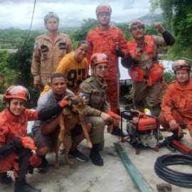 Cachorro é resgatado cinco dias após desabamento que deixou dois feridos em Niterói