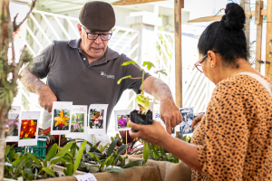 Feira da Agricultura Familiar em Itaipuaçu acontece neste sábado, das 8h às 13h, no Barroco, com alimentos frescos e produtos locais.