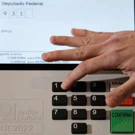 Infestação de pulgas altera local de votação de 3 mil eleitores no Rio